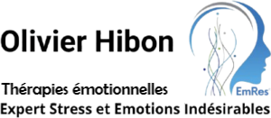 Olivier_Hibon-300x131